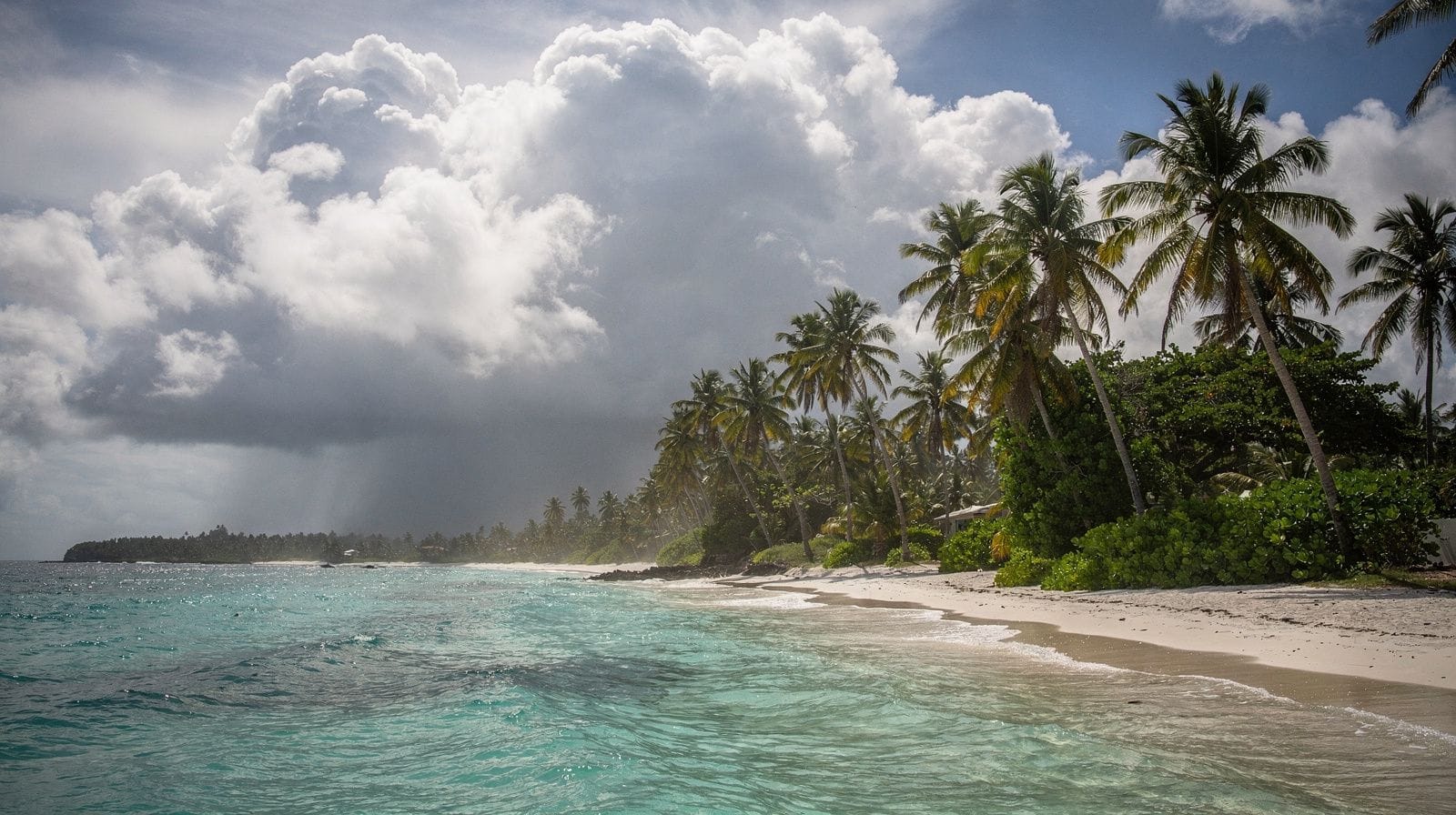 ¿El sargazo es un obstáculo para Punta Cana?