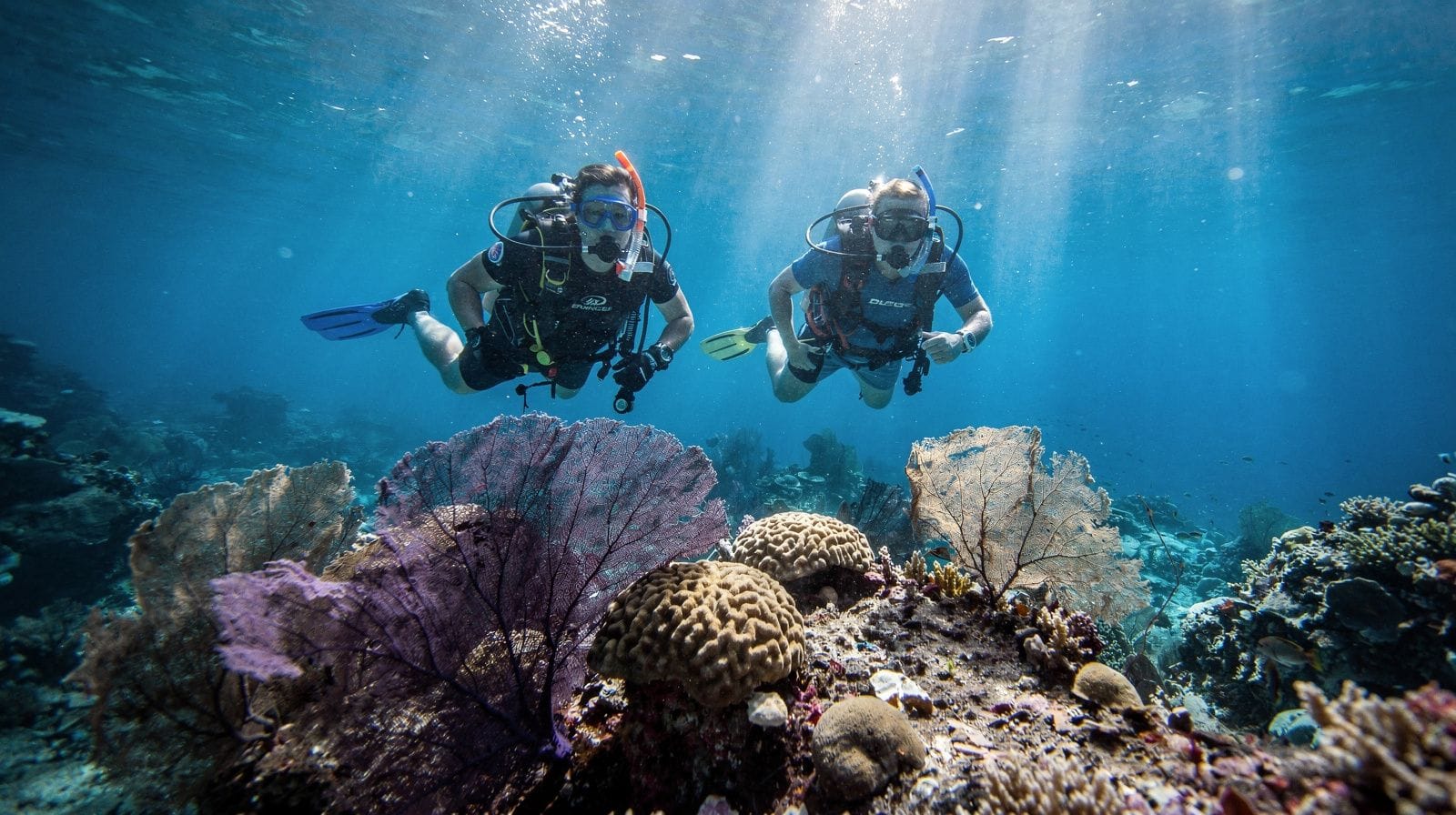 Buceo