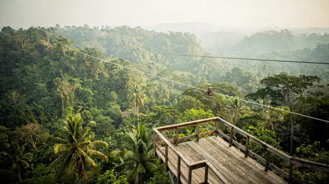 Ziplines adventure parks