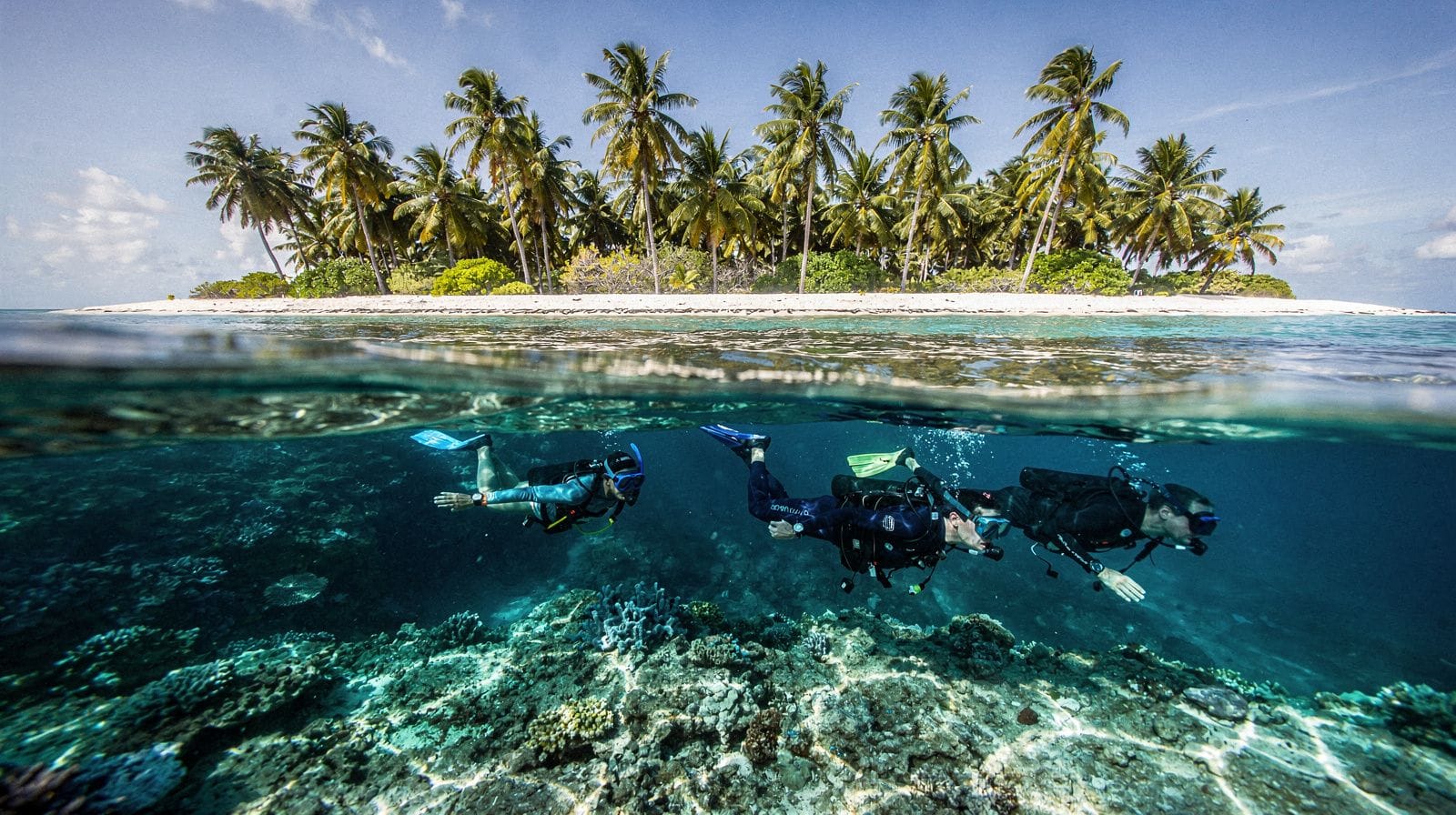 Isla Catalina