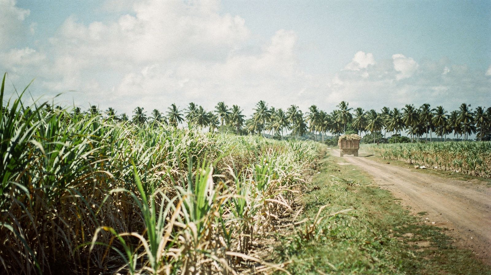 La Romana