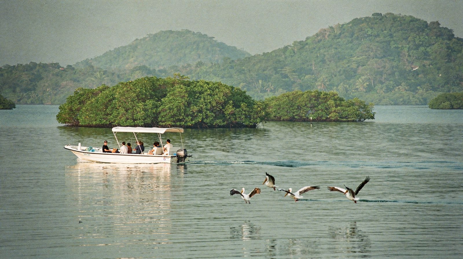 Samaná, Miches y Los Haitises