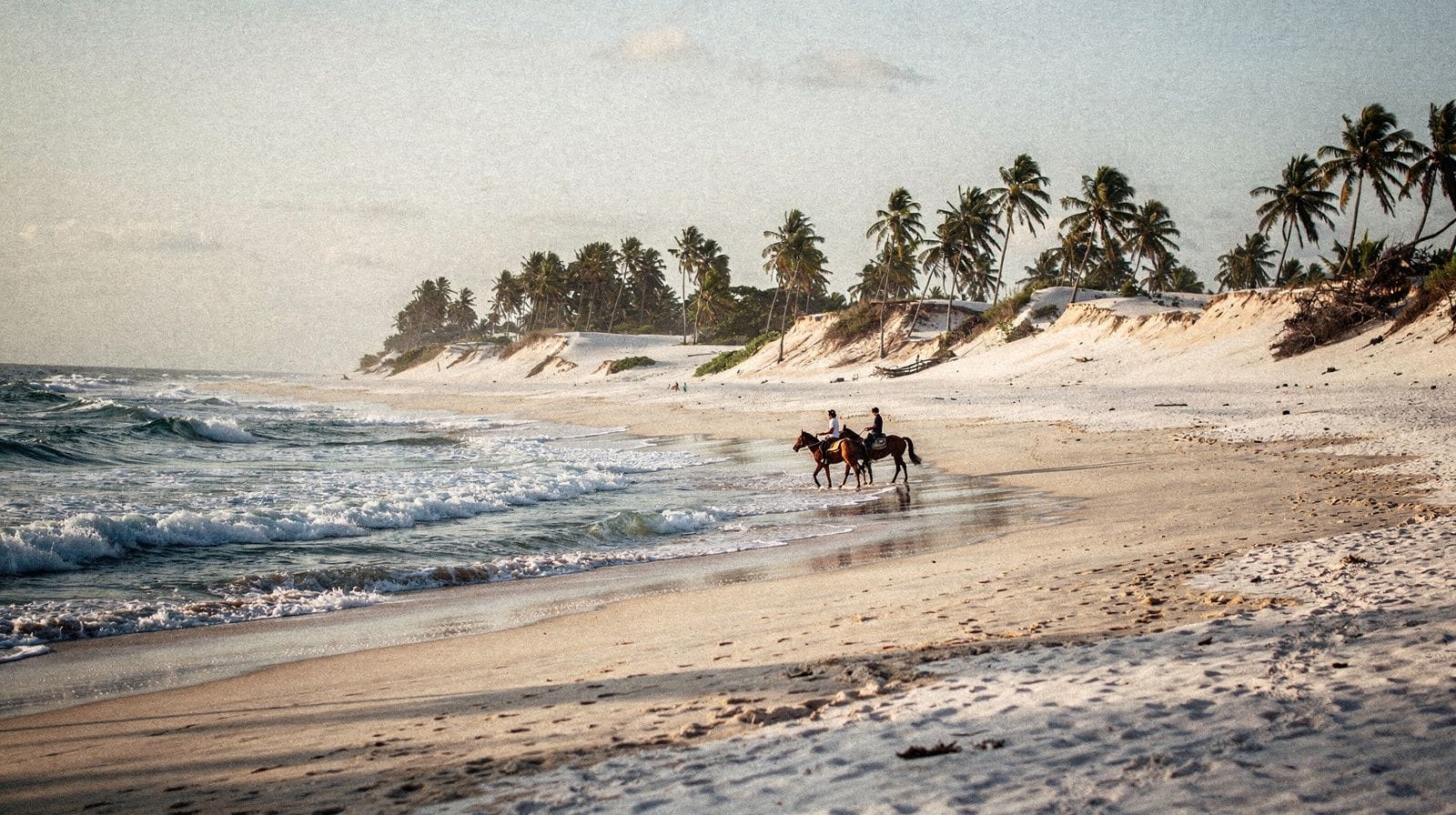 Uvero Alto: el lado mas tranquilo y septentrional de la costa de Punta Cana