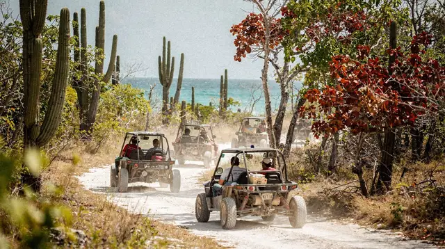 Bayahibe buggy and ATV tours
