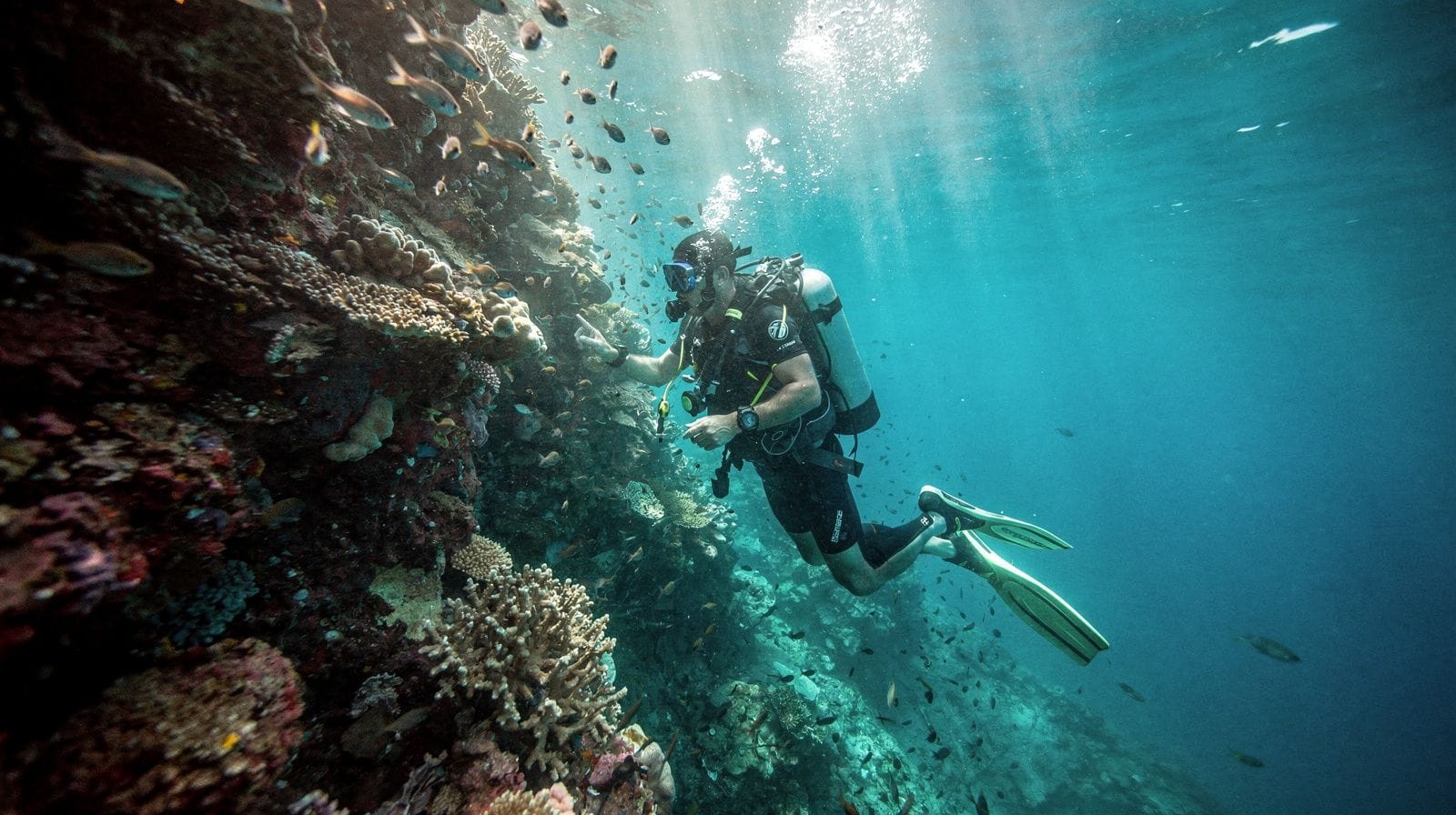 Immersioni subacquee e snorkeling a Bayahibe