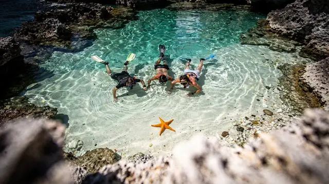 Best snorkeling spots near Punta Cana