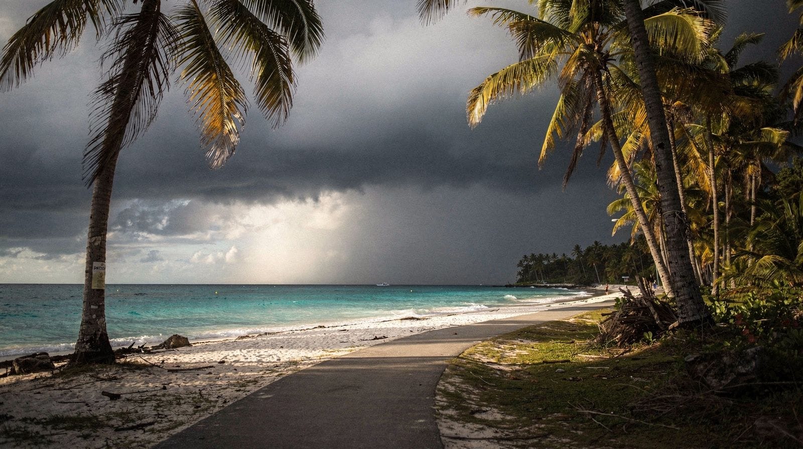 Best time to visit Punta Cana