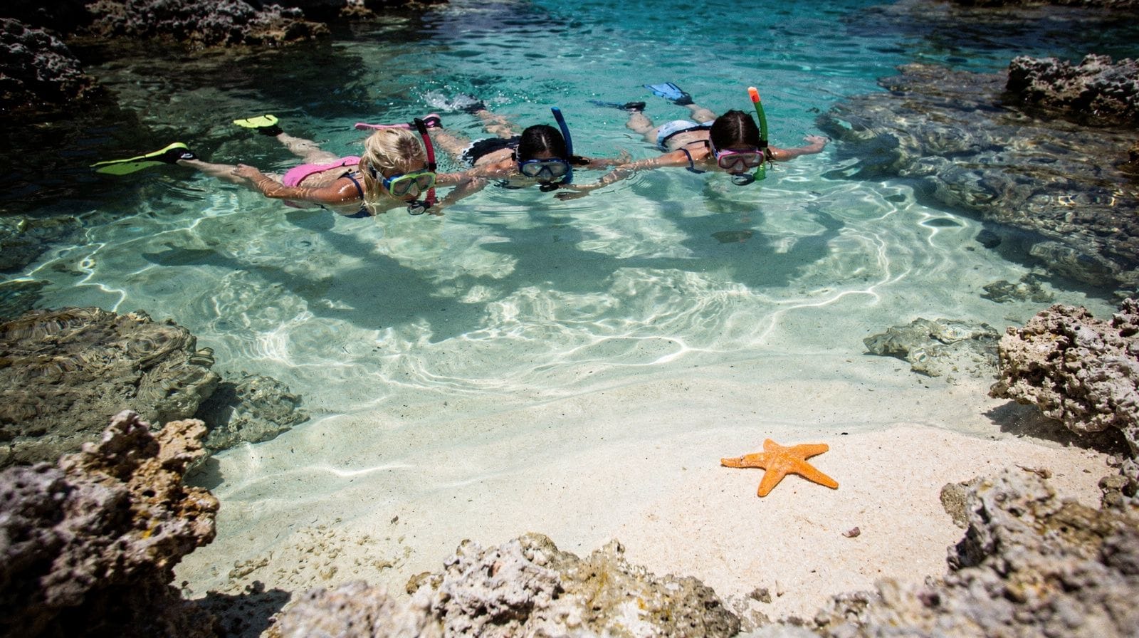 Escursioni di snorkeling e immersioni all'Isla Catalina da Punta Cana