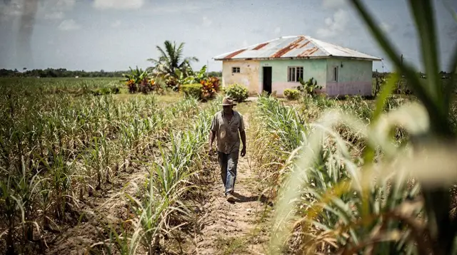 Cacao and coffee farm tours near Punta Cana