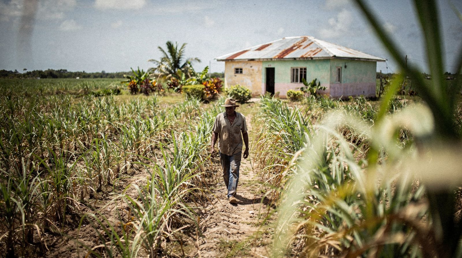 Safari nella campagna dominicana: cosa si vede davvero