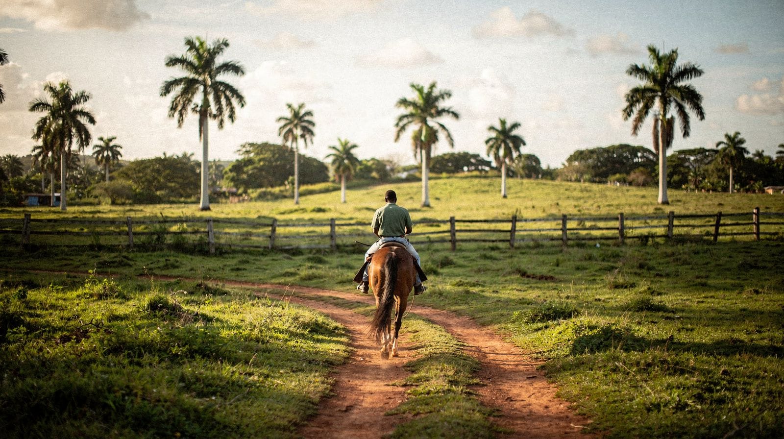 Escursioni a cavallo vicino a Higüey: com'è davvero il giro in campagna