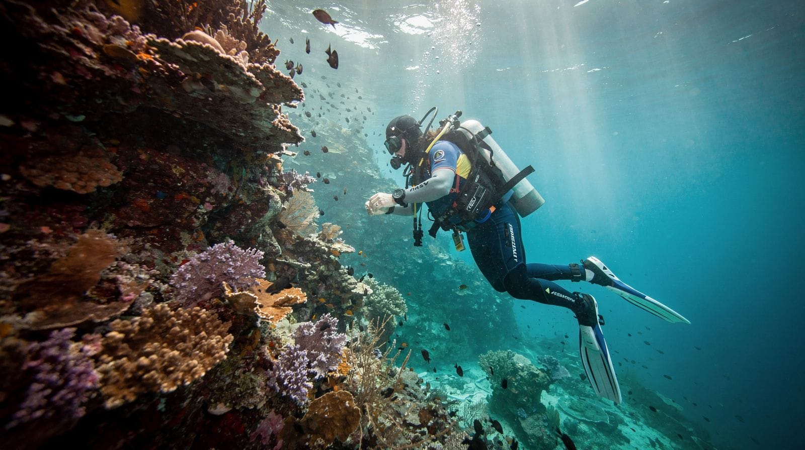 Imparare a immergersi a Punta Cana