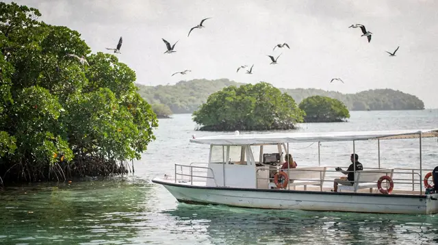 Los Haitises boat tours: mangroves, karst caves and Taino art