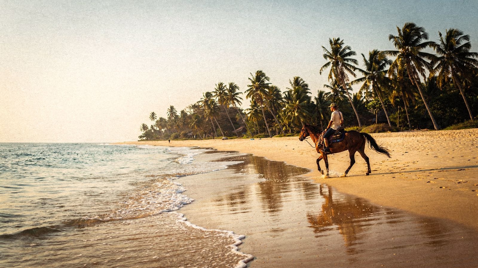 Passeggiate a cavallo a Macao Beach