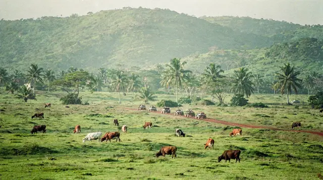 Miches buggy and ATV tours: dirt roads, rivers and Montaña Redonda