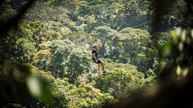 Ziplines and adventure parks in Miches