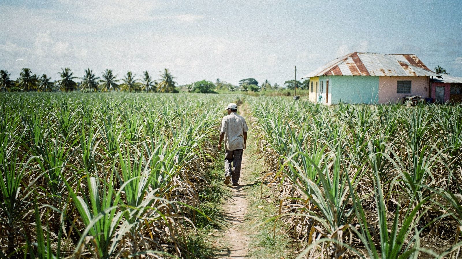 Tour culturali e nell'entroterra vicino a Punta Cana