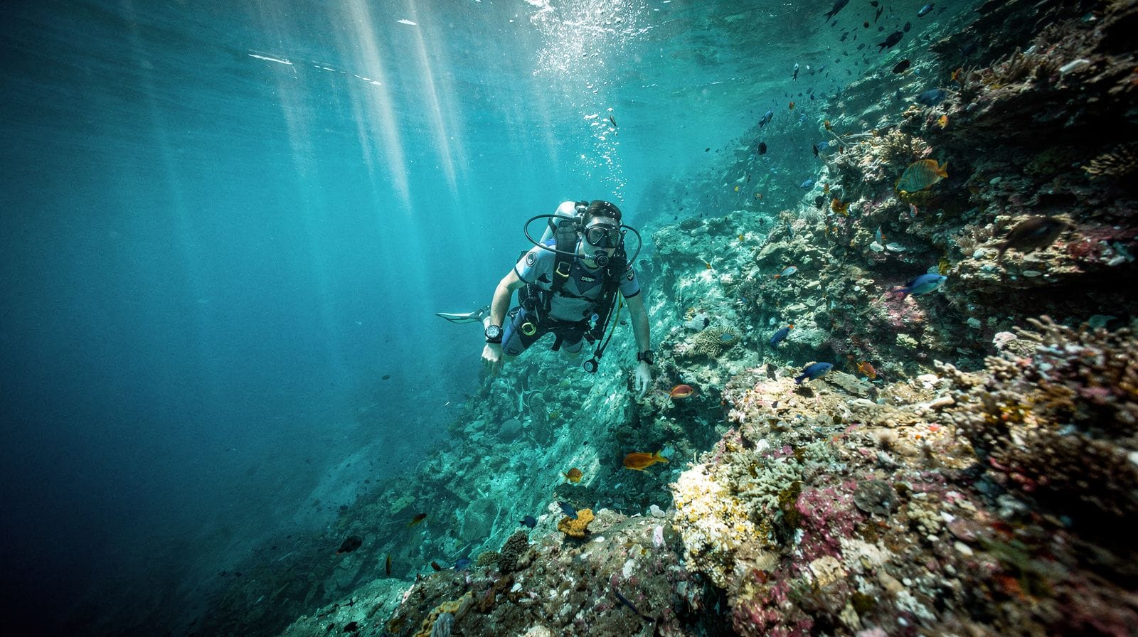 Immersioni subacquee a Punta Cana e Bávaro