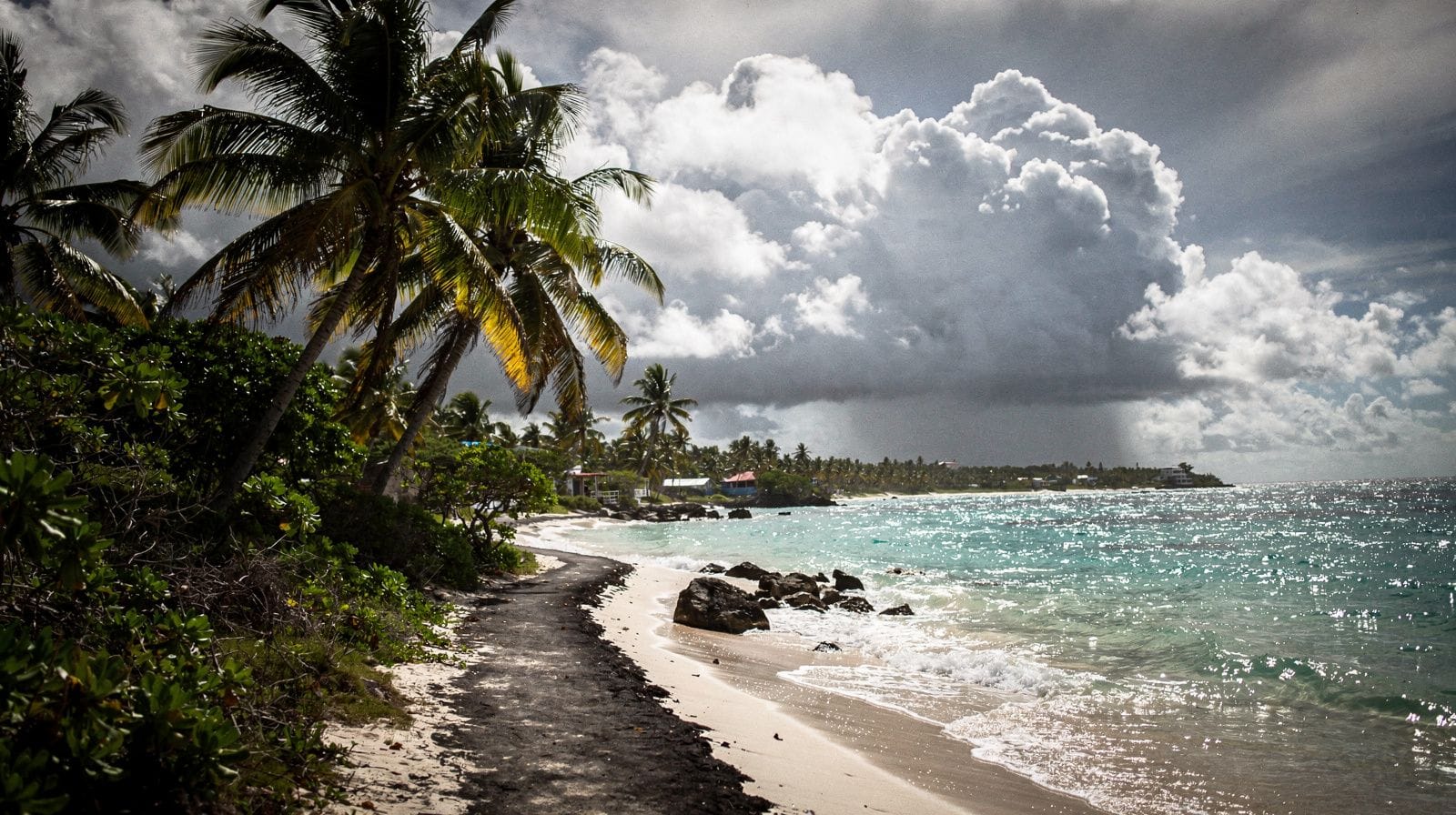 Stagione del sargasso a Punta Cana: cosa aspettarsi davvero