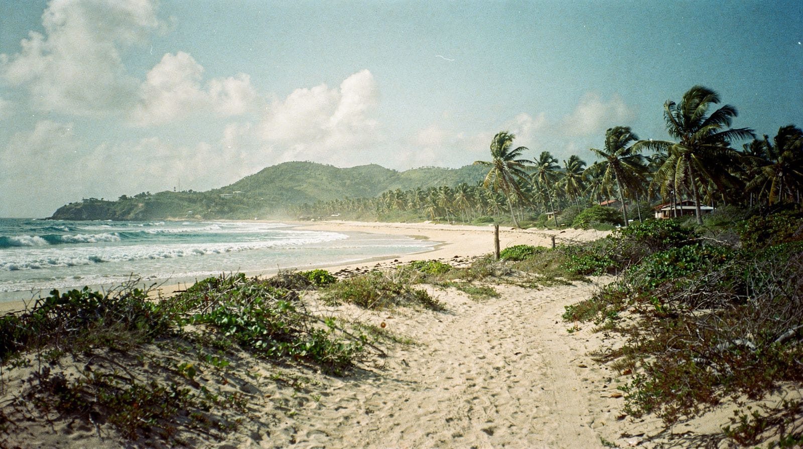 Siete días en Punta Cana con Saona, Santo Domingo y Los Haitises