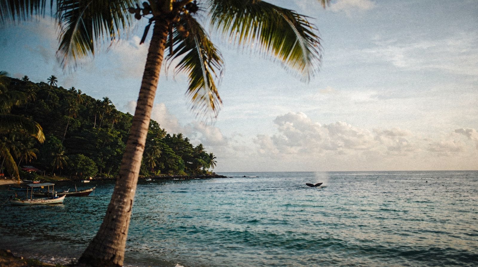 Dieci giorni nell'est dominicano: Punta Cana, Bayahibe, Santo Domingo e Samaná